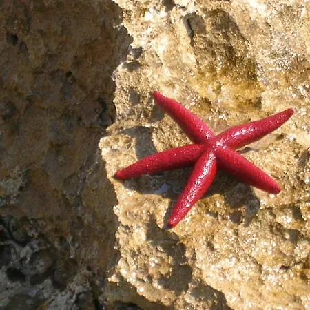 Stella Marina Diffuso - 3*