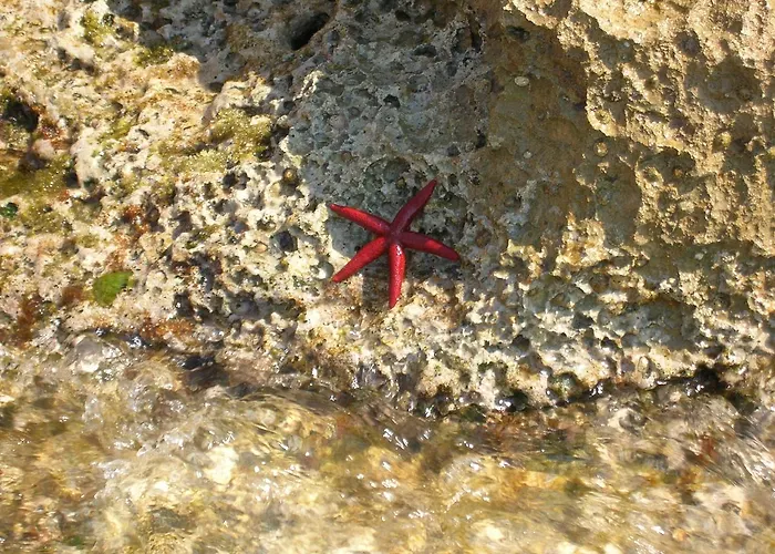 Noto Marina Stella Marina - Pensjonat Lido di Noto